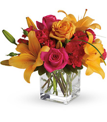 Teleflora's Uniquely Chic from Arjuna Florist in Brockport, NY
